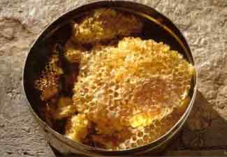 honey comb