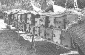 wooden hives